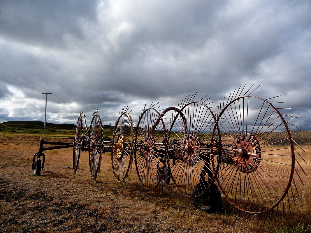 יניב שטיינברג