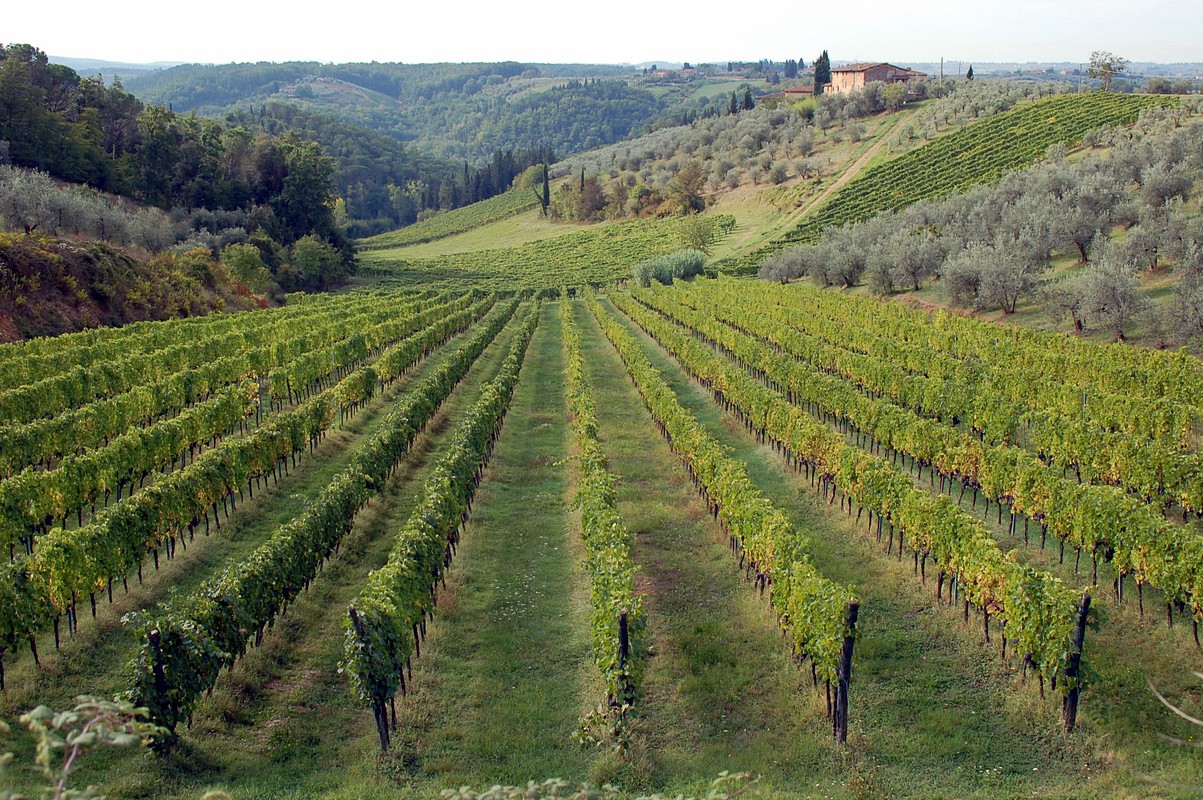 Peretz Bretschneider