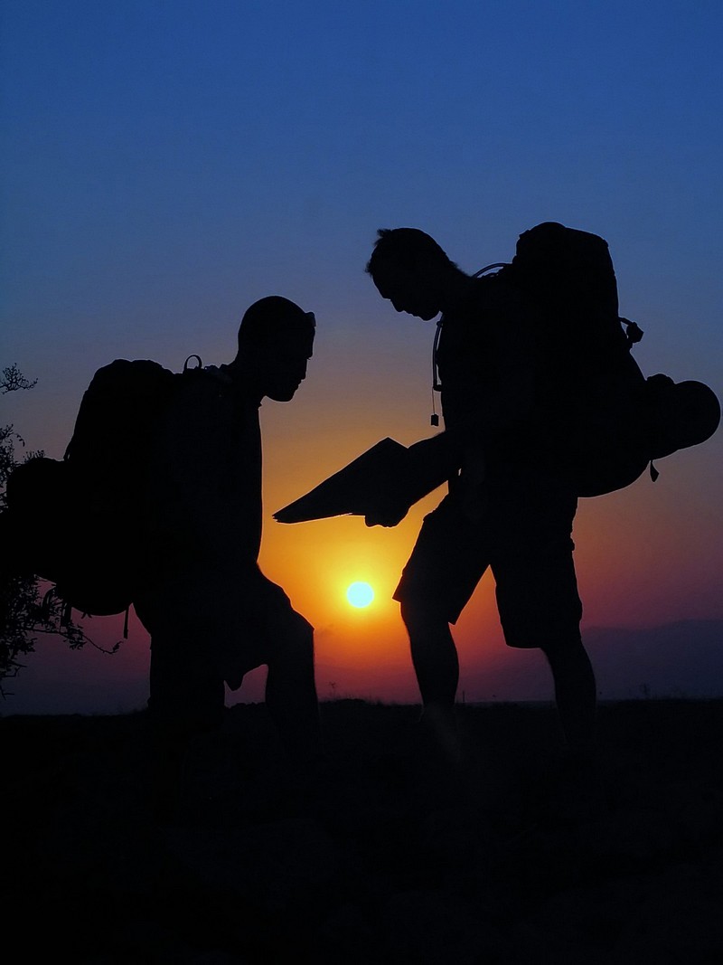 אייל ורטהימר