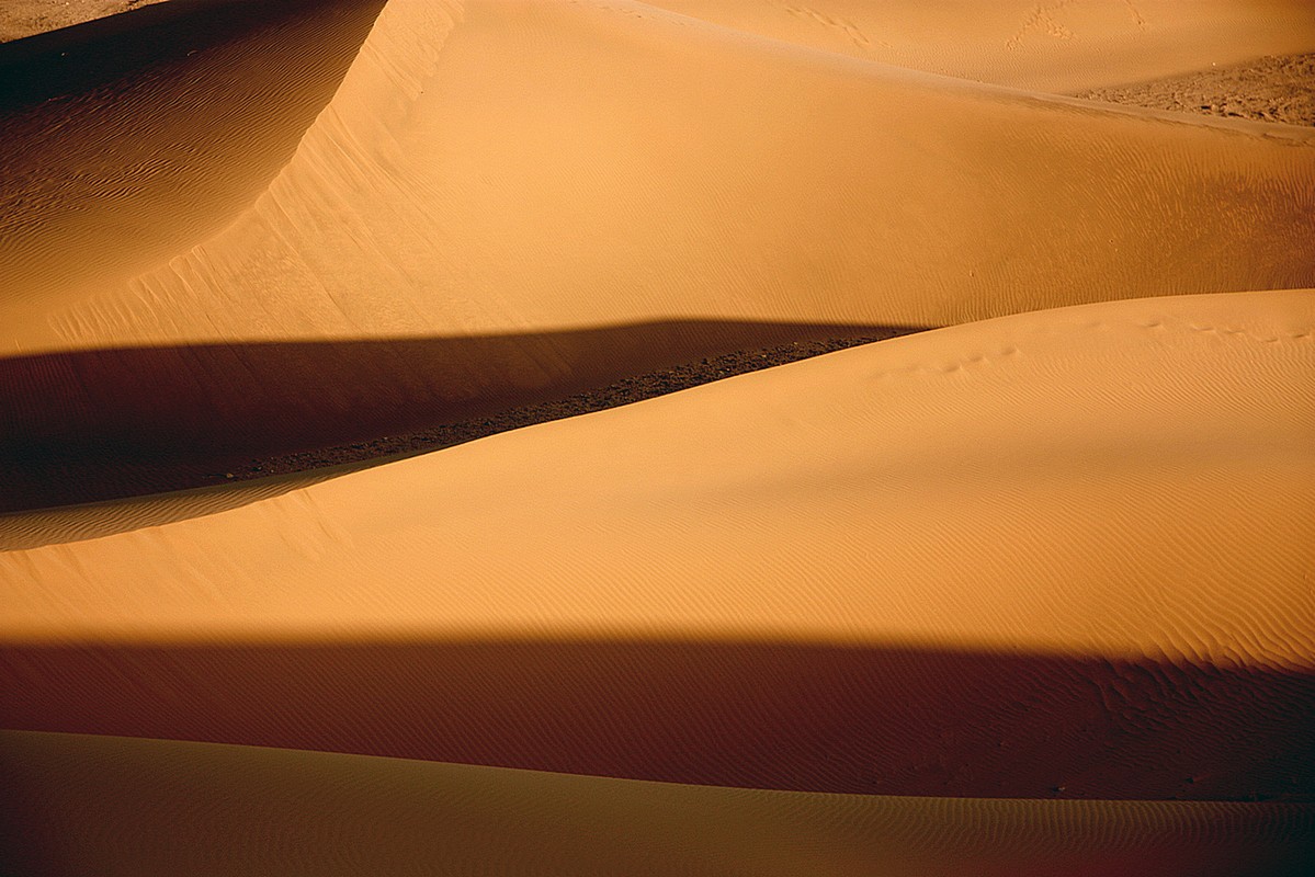 אייל ורטהימר