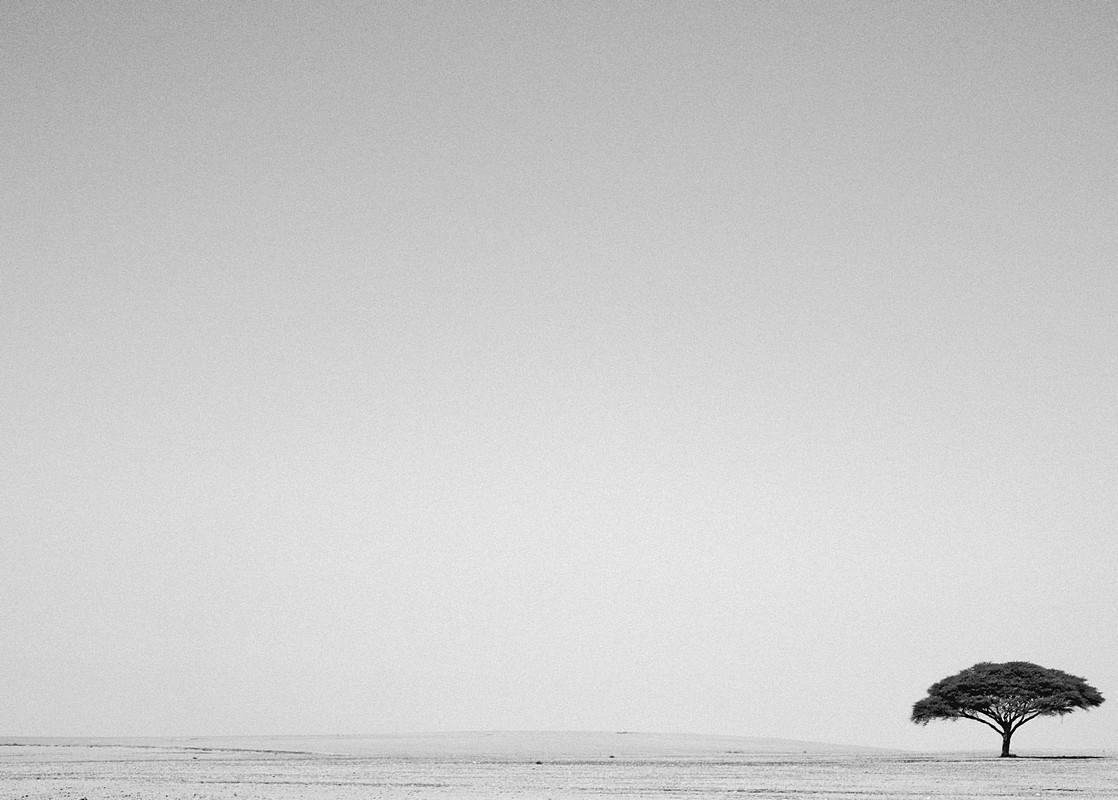 אייל ורטהימר