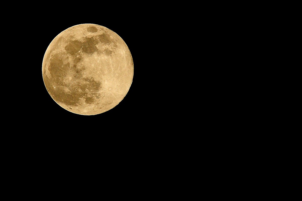 אמנון אייכלברג