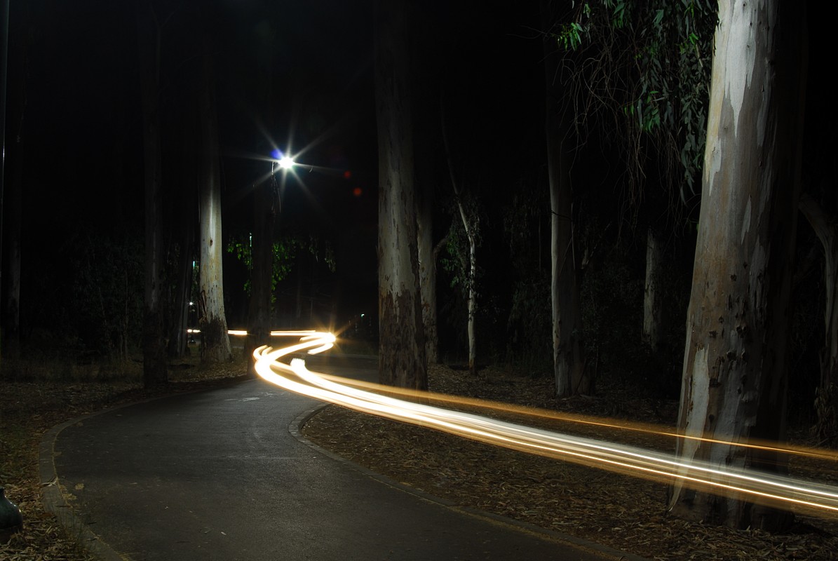 רוי רוזנפלד