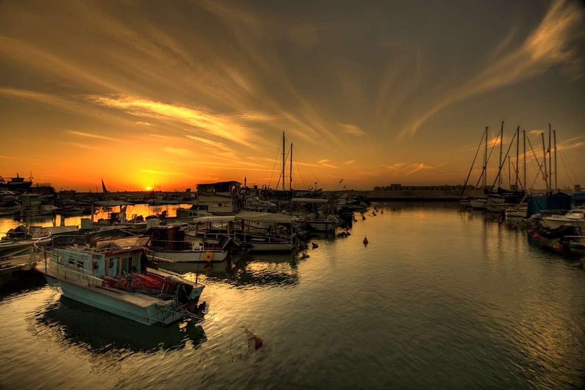 אמנון אייכלברג