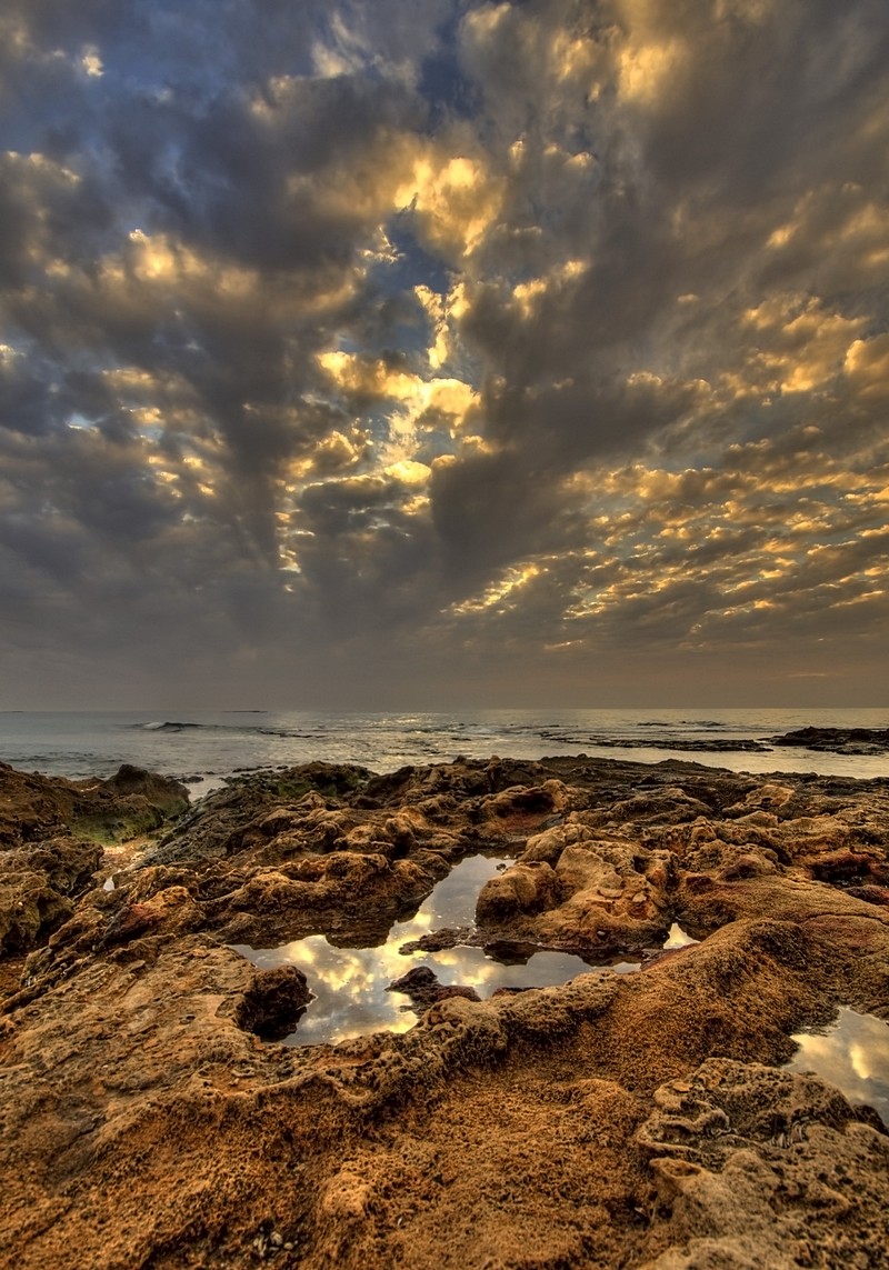 אמנון אייכלברג