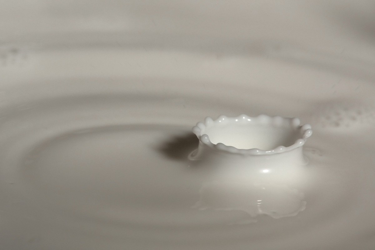 אמנון אייכלברג