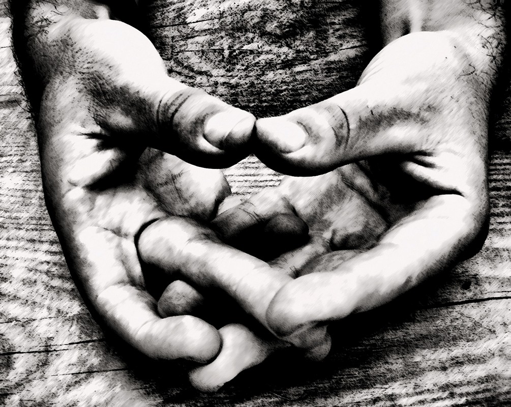 אורלי דורון