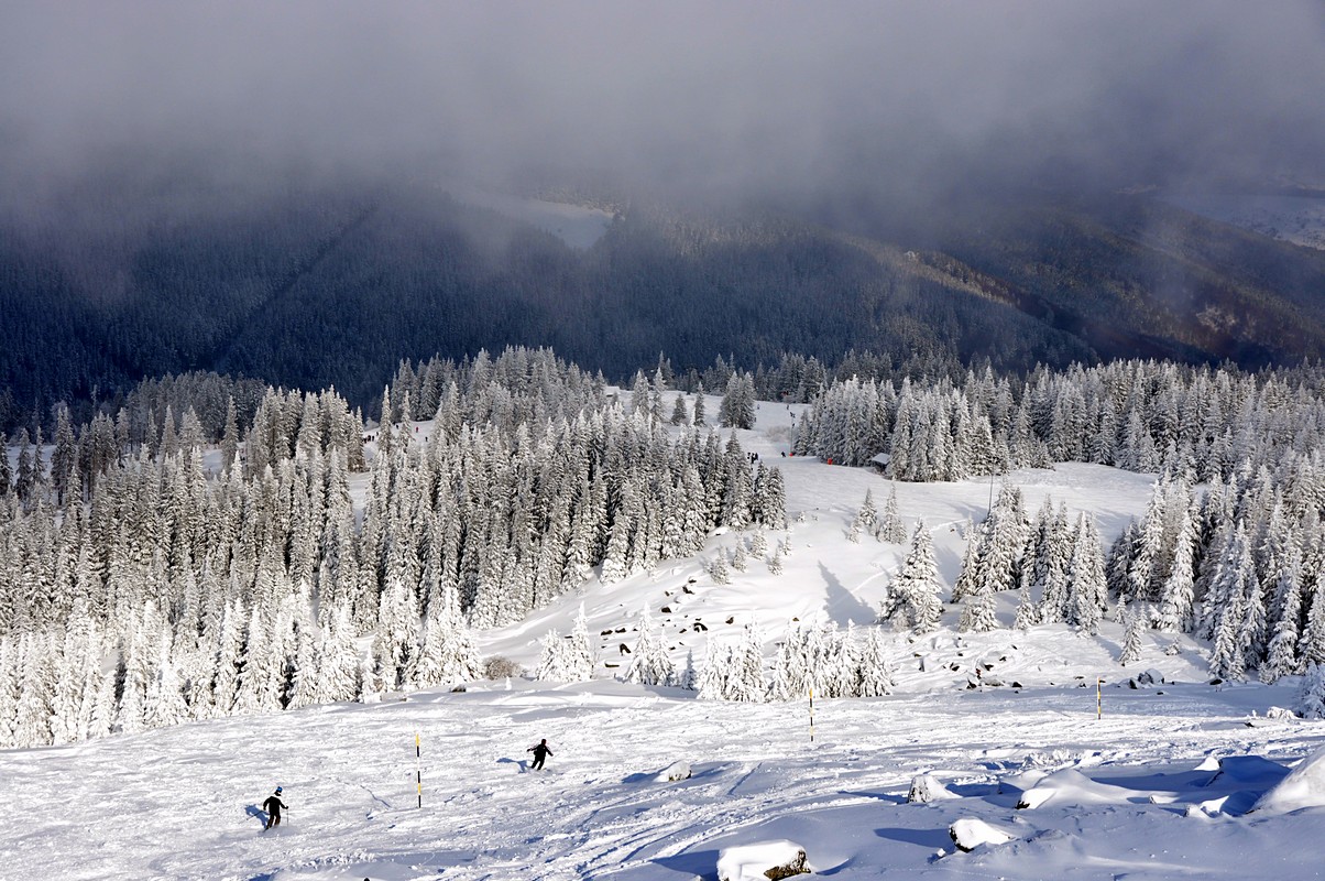 Peretz Bretschneider