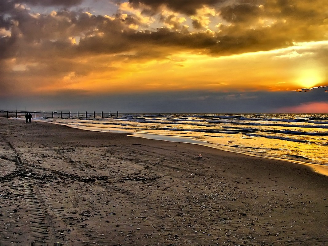 אורלי דורון