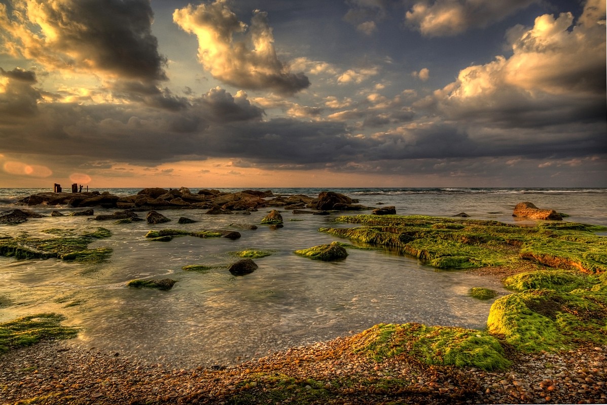 אמנון אייכלברג