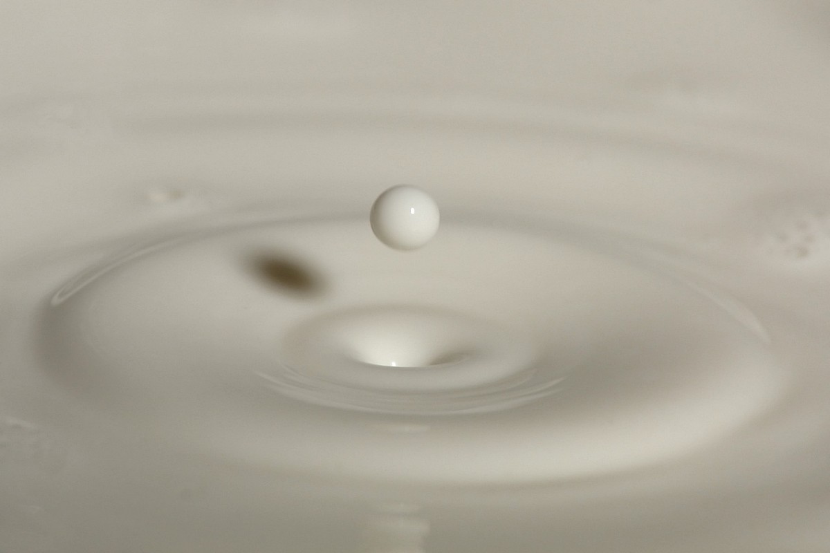 אמנון אייכלברג