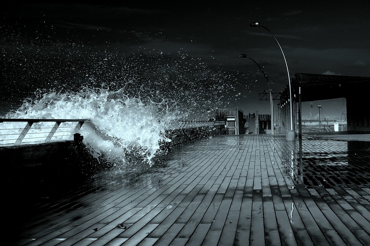 נאוה פמיליה