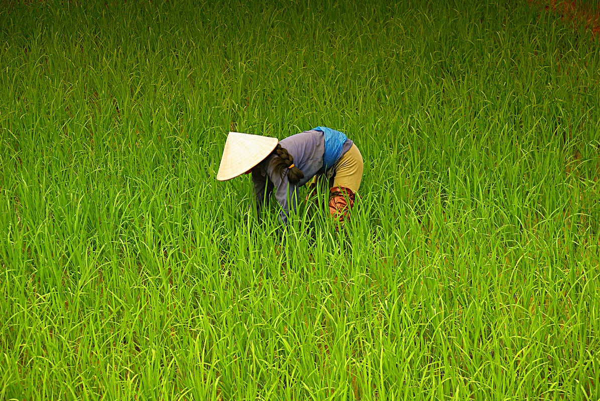 פיני  אביבי