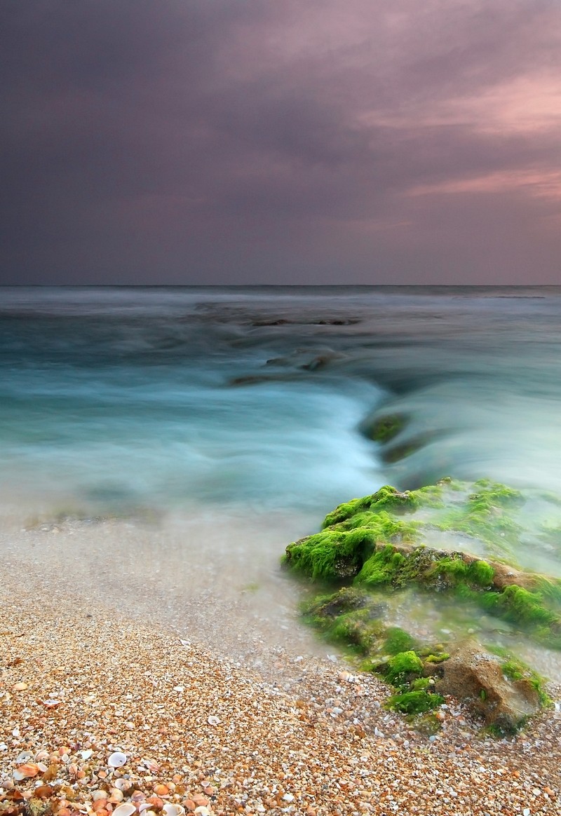 אמנון אייכלברג