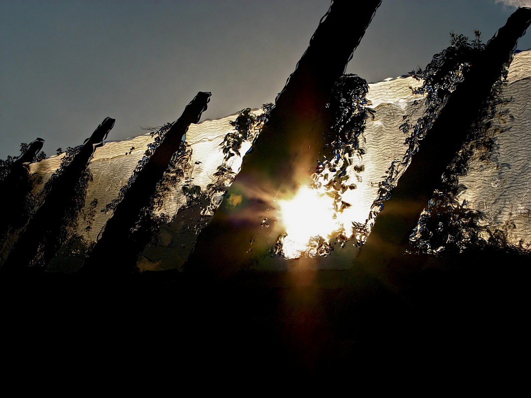 אורלי דורון