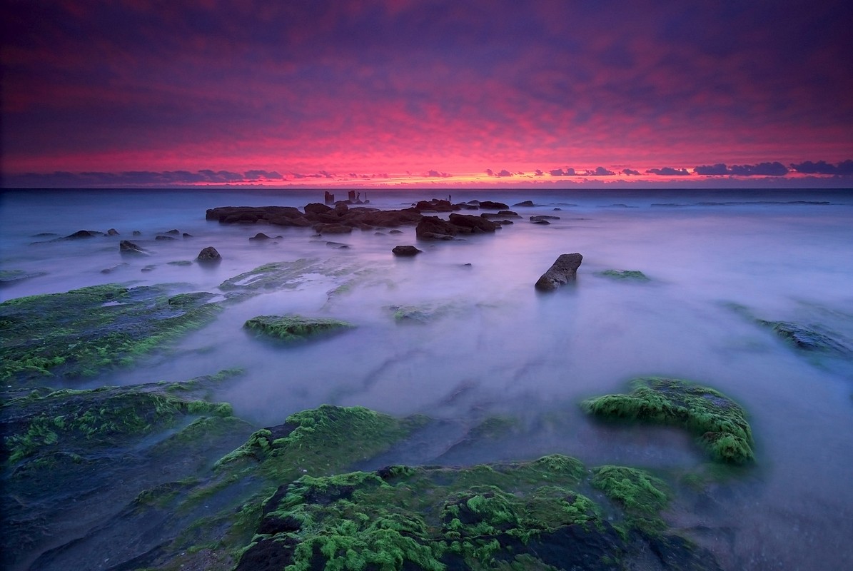 אמנון אייכלברג