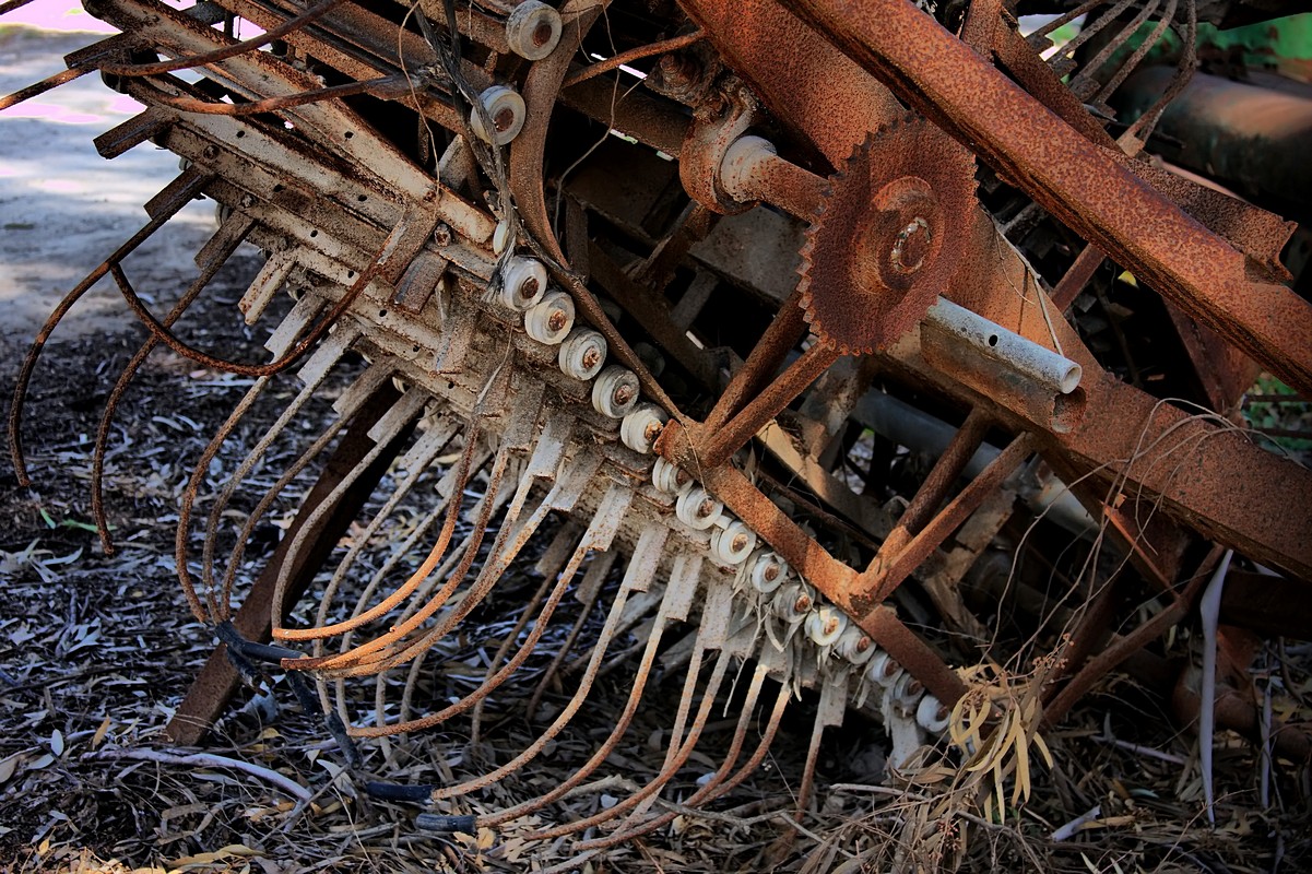 אלישע אבן טוב