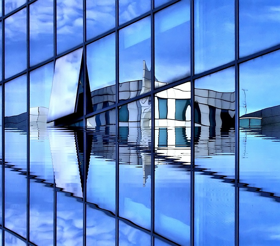 אורלי דורון