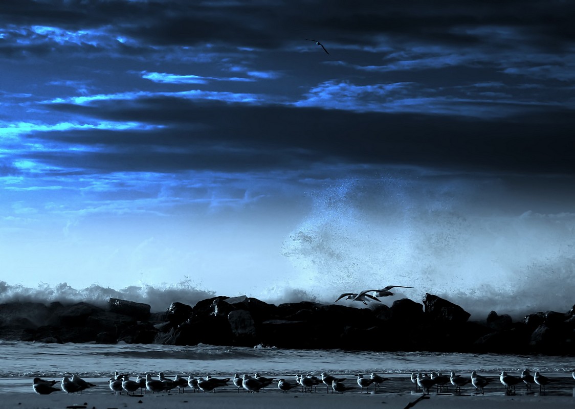 נאוה פמיליה