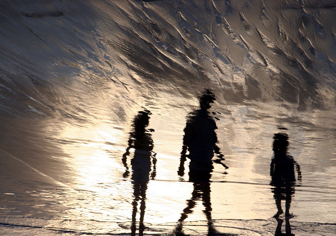 אירית אברמוביץ