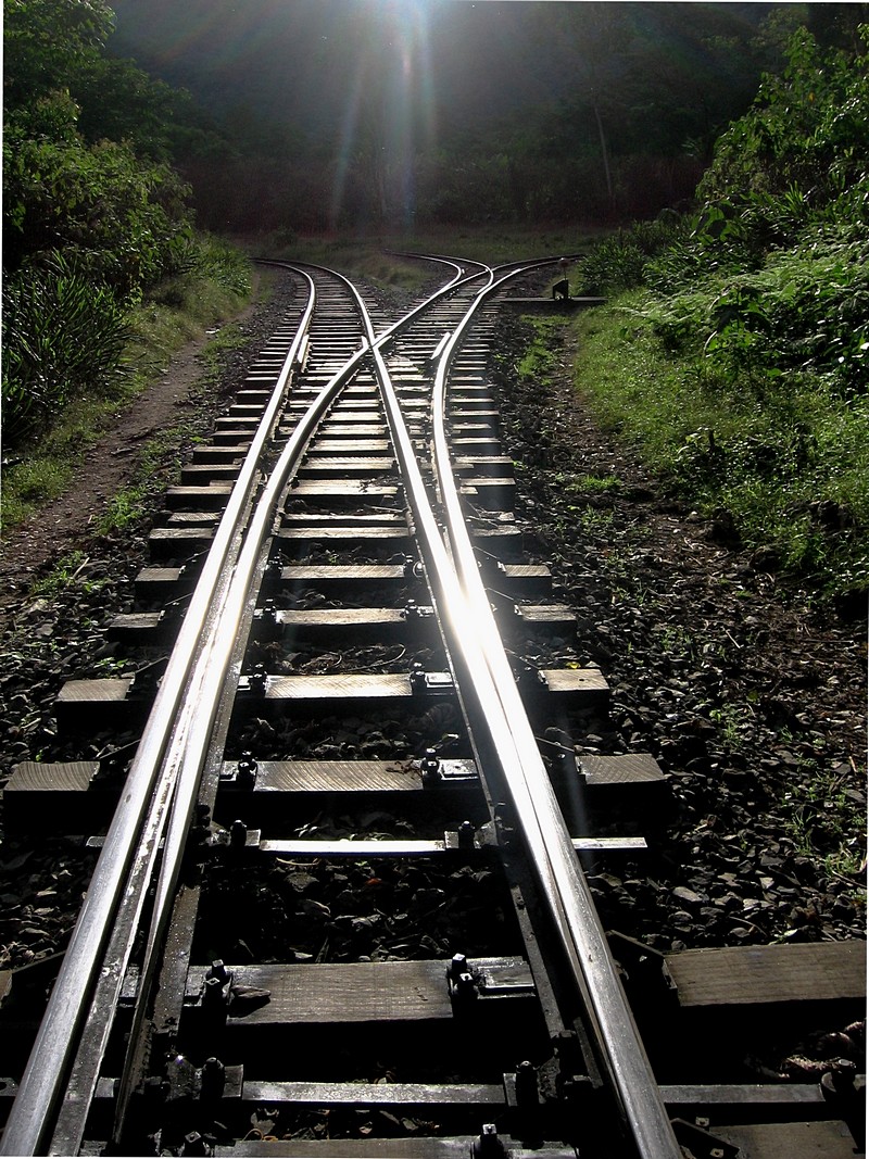 ערן בן דרור