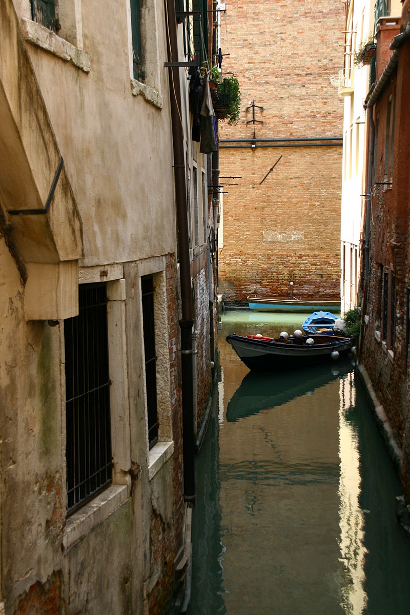 זאב מנדלוביץ