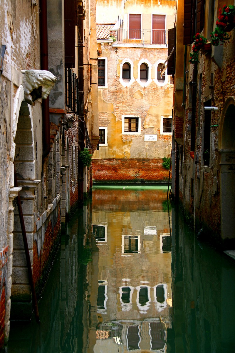 זאב מנדלוביץ