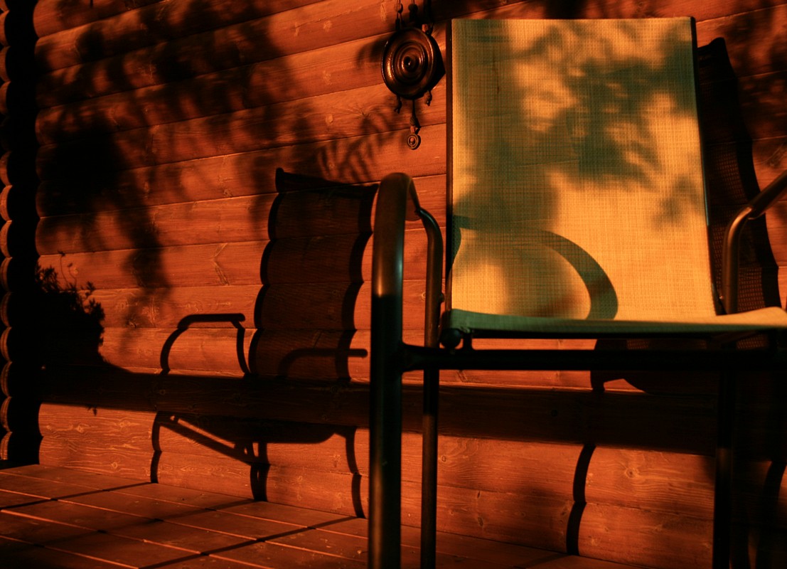 זאב מנדלוביץ