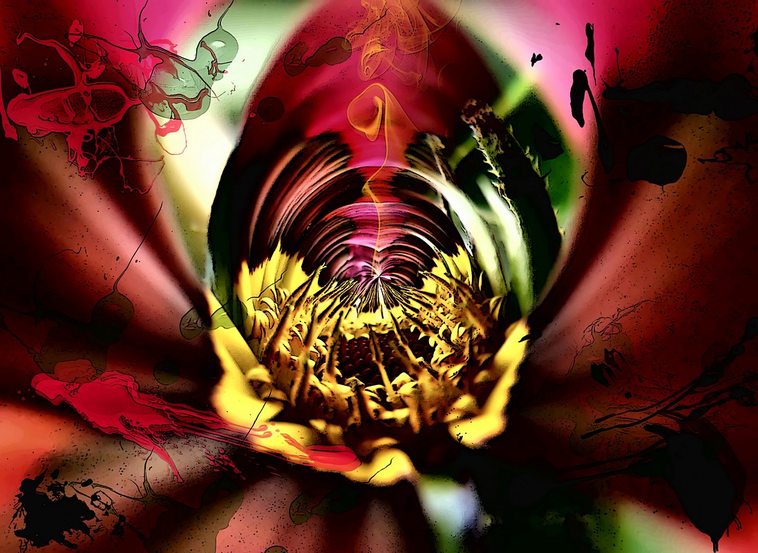 אורלי דורון