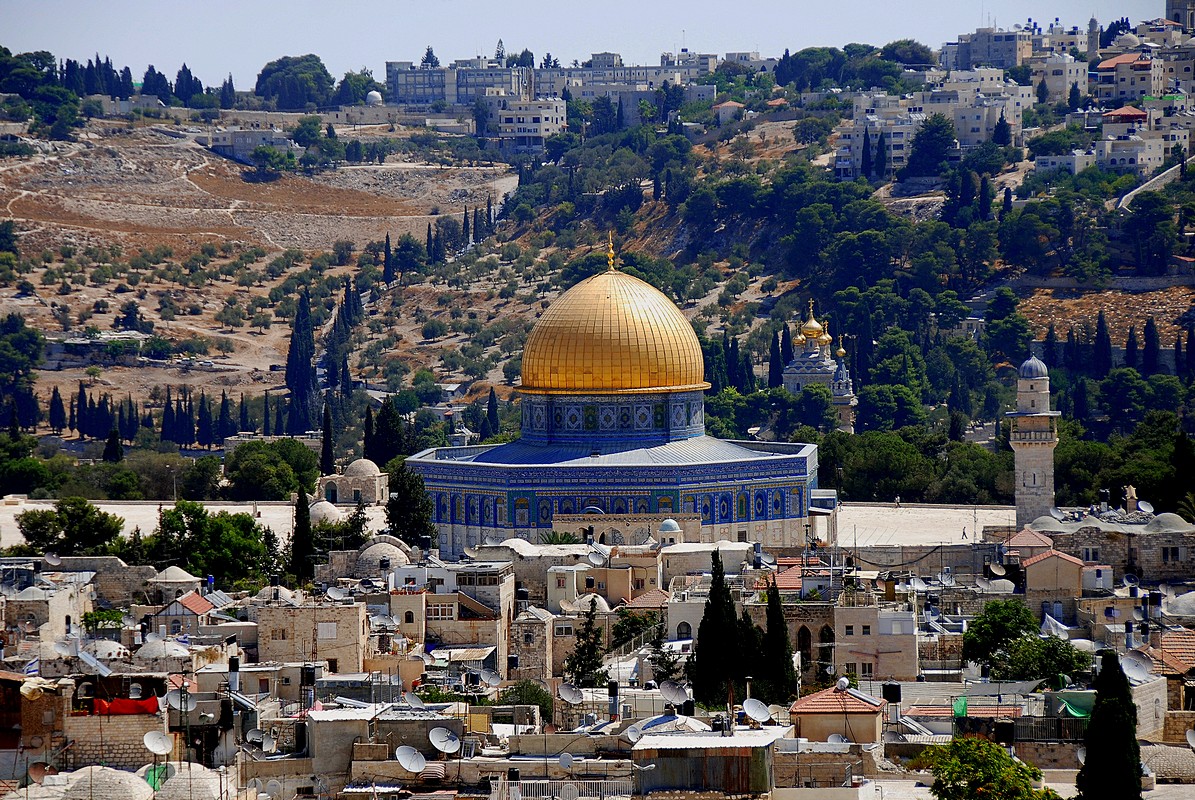 פיני  אביבי