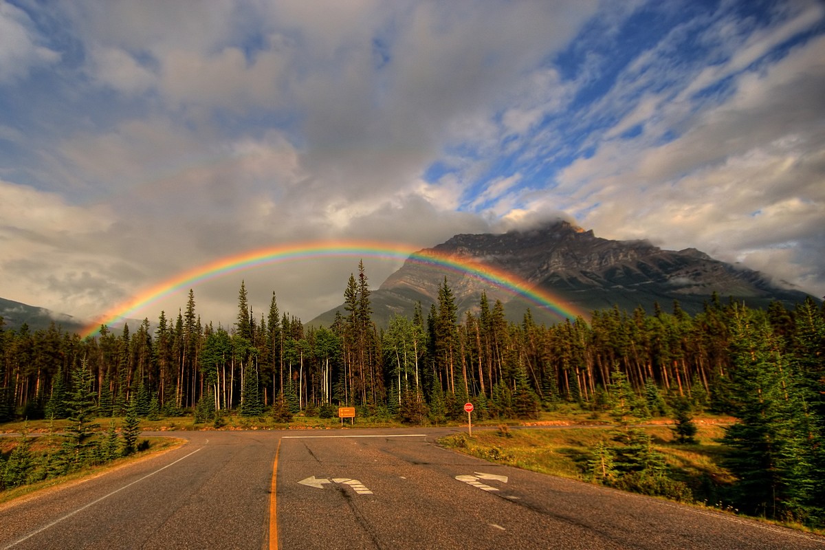 צילום: אמנון אייכלברג