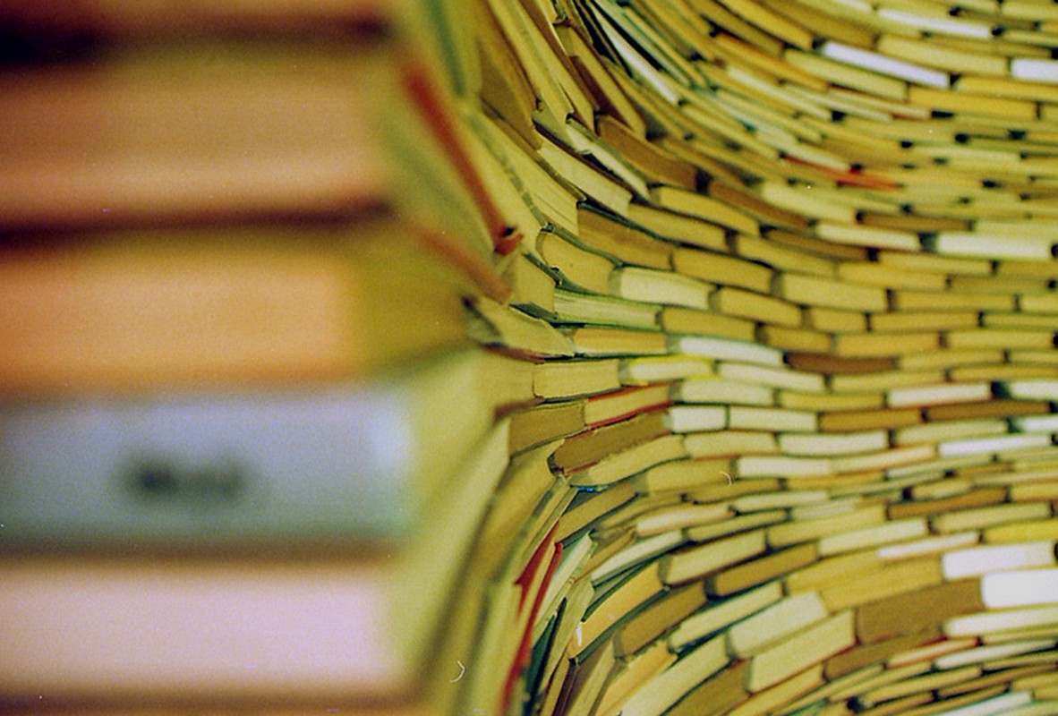 צילום: אורי פלג