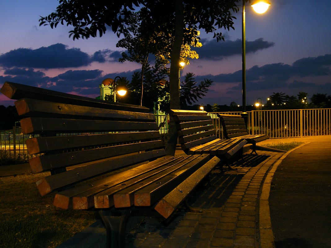 דניאל  בר דוד