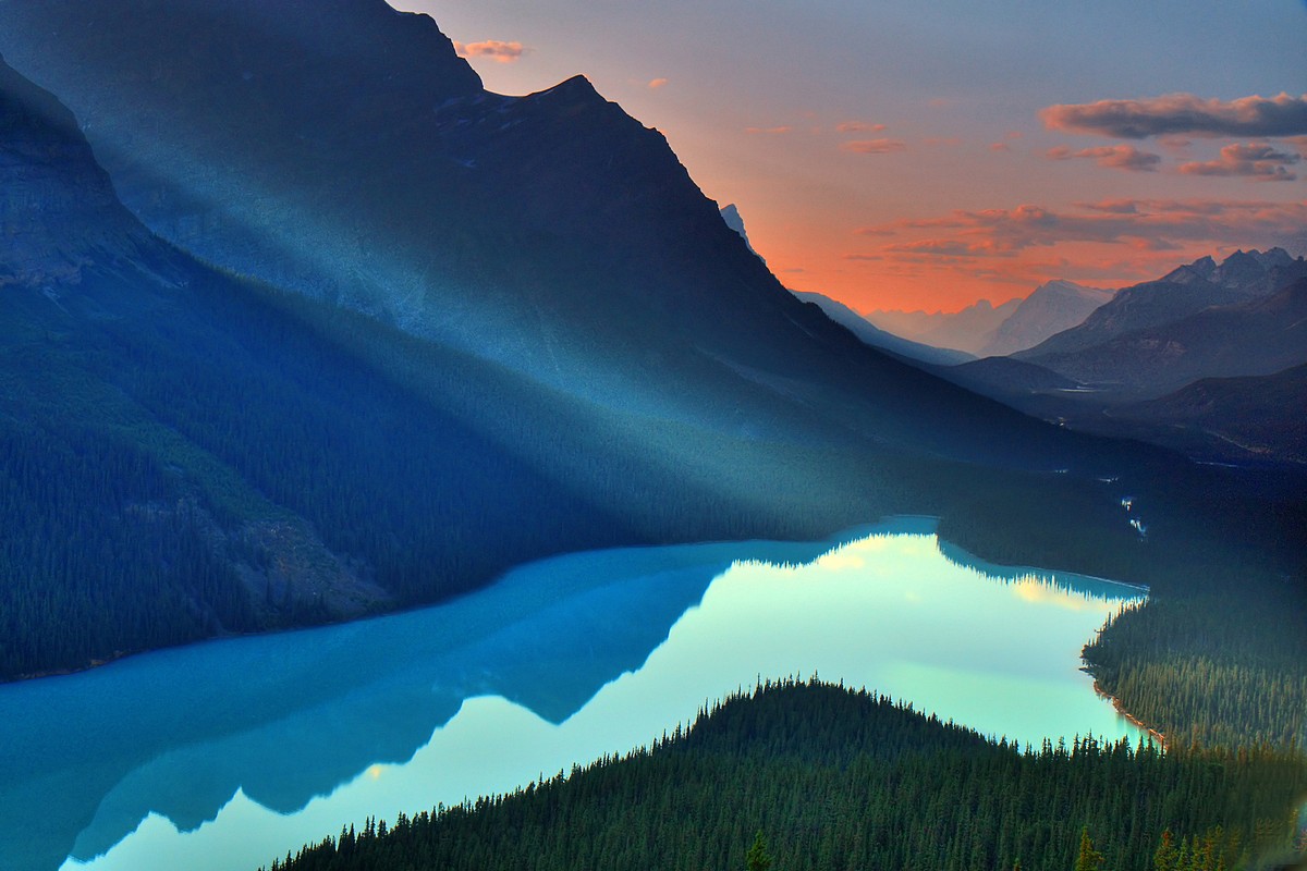 אמנון אייכלברג
