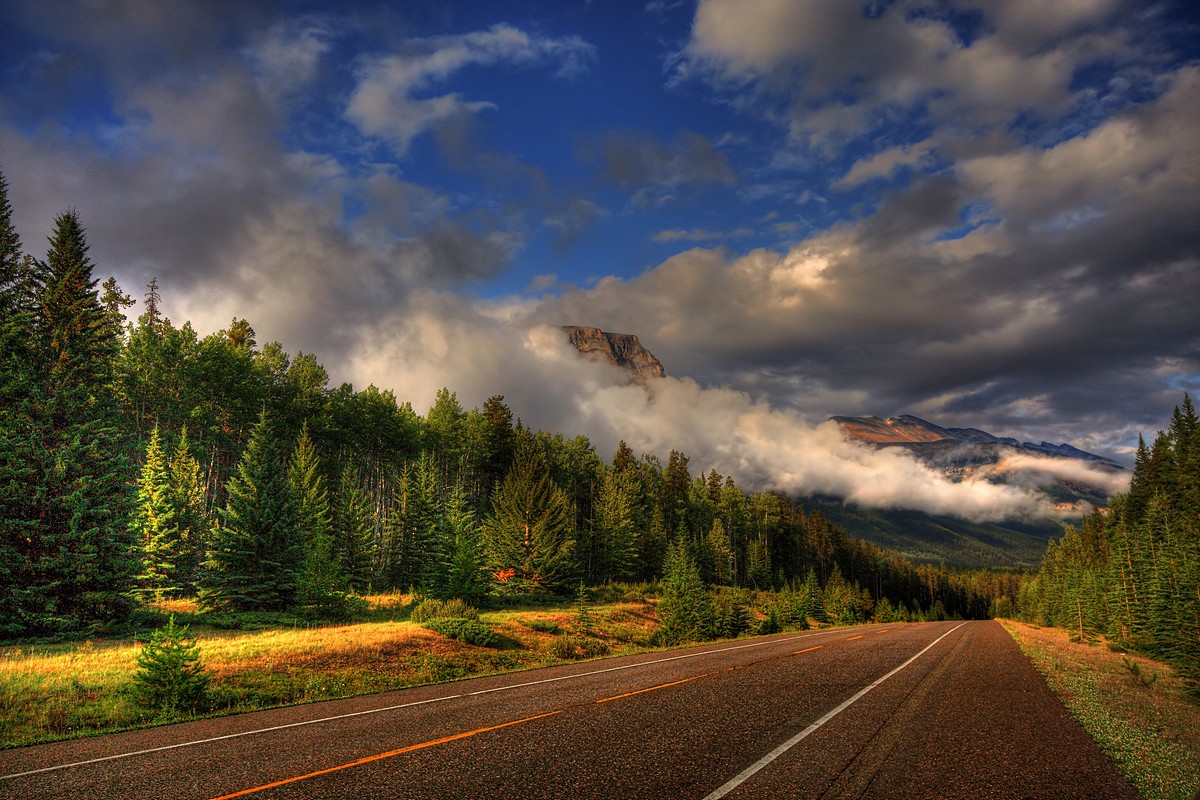 אמנון אייכלברג