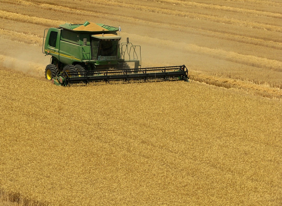 יוסי שניאור