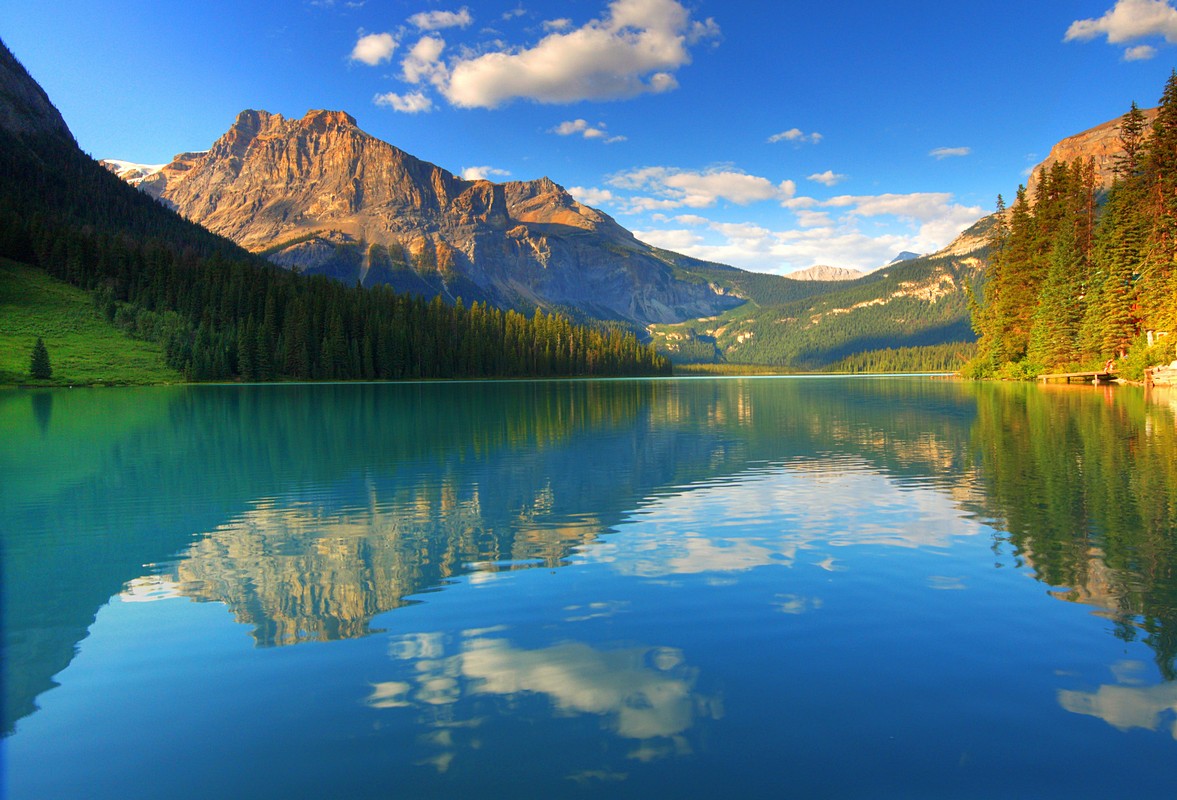 אמנון אייכלברג