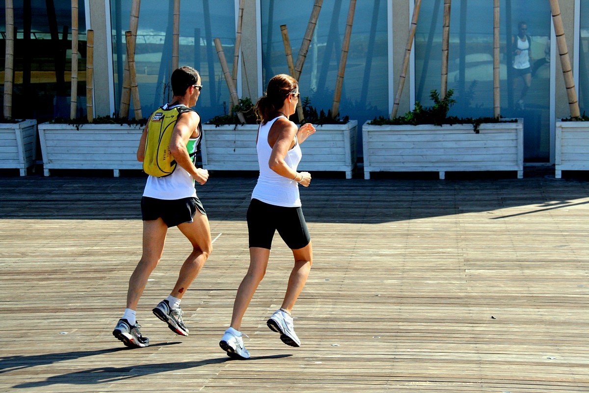 זאב מנדלוביץ