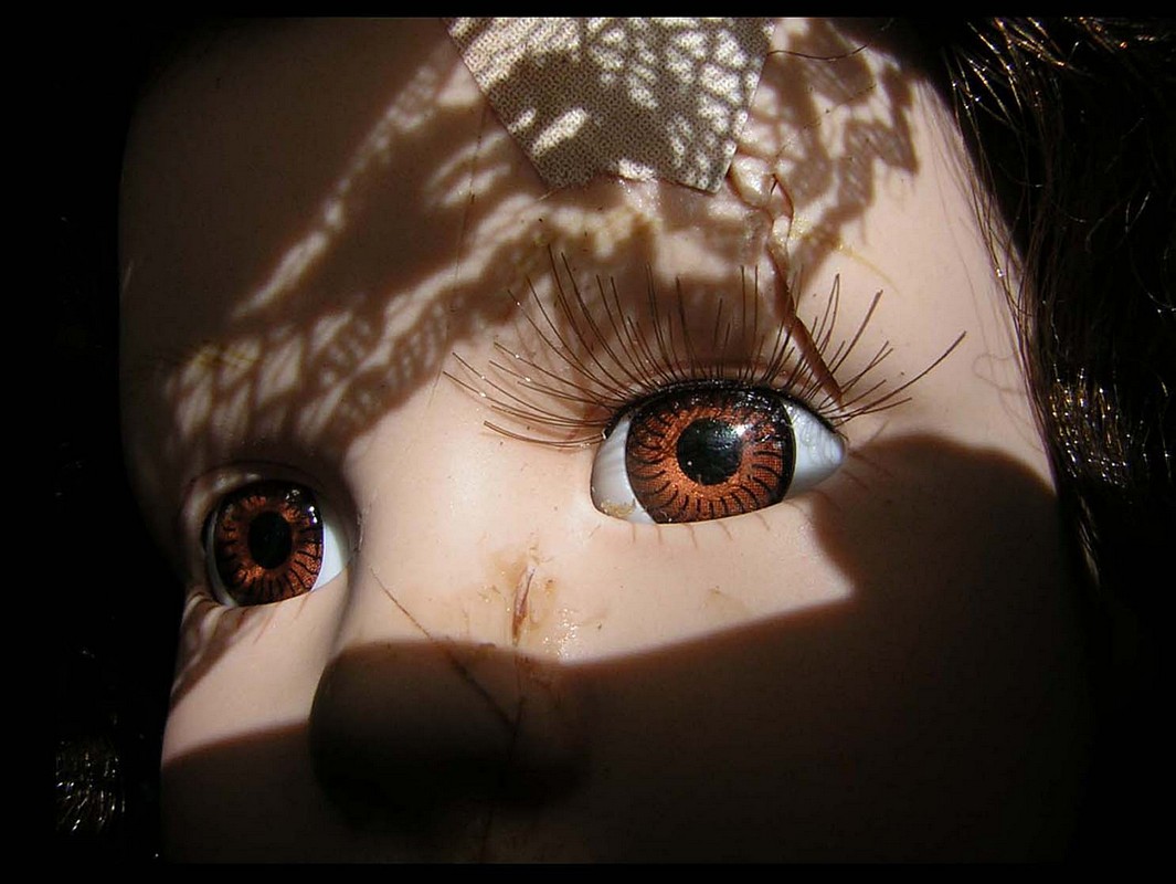 אלנה רגינסקי