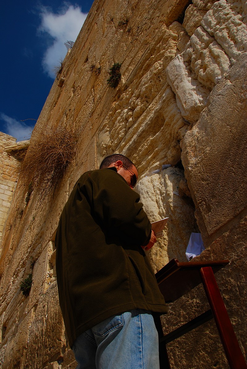 ניקולס אמבום