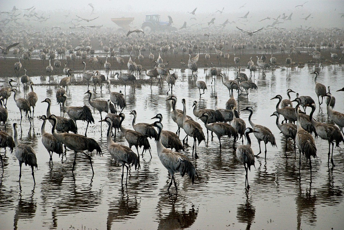 יצחקי איזיק