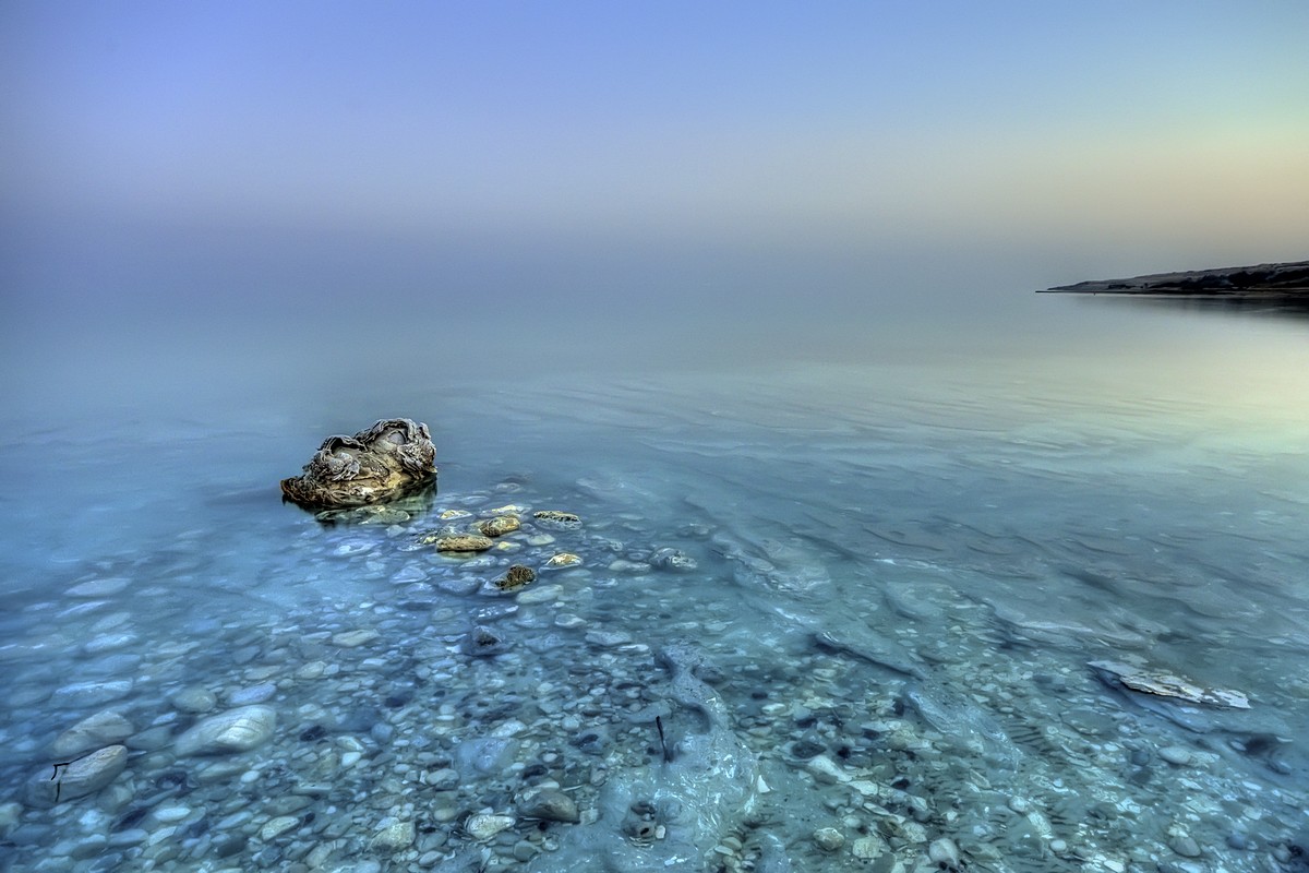 צילום: אורן כהן