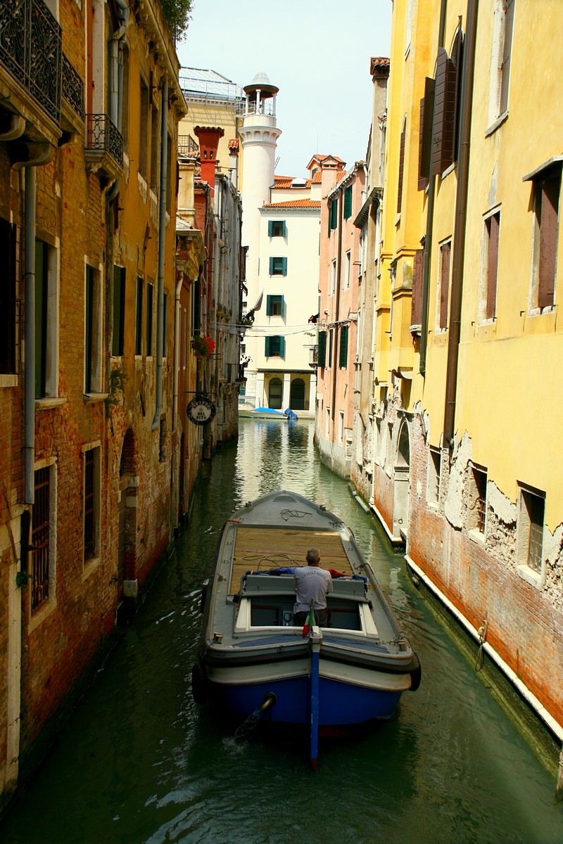 זאב מנדלוביץ