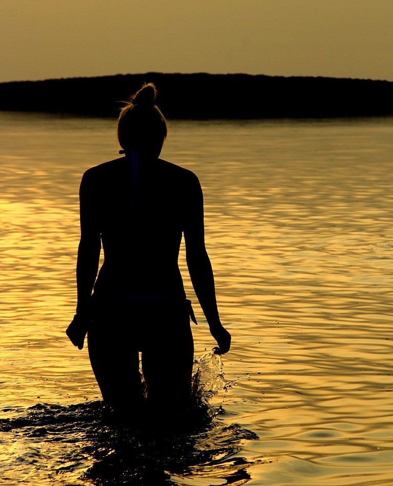 זאב מנדלוביץ