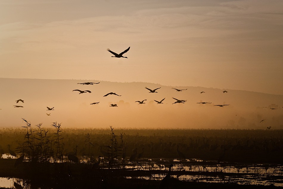יצחקי איזיק
