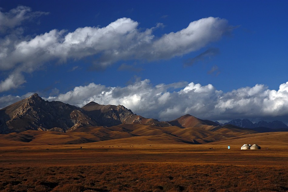אייל ורטהימר
