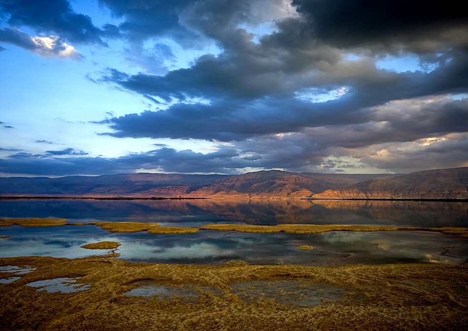 חיים אוחיון