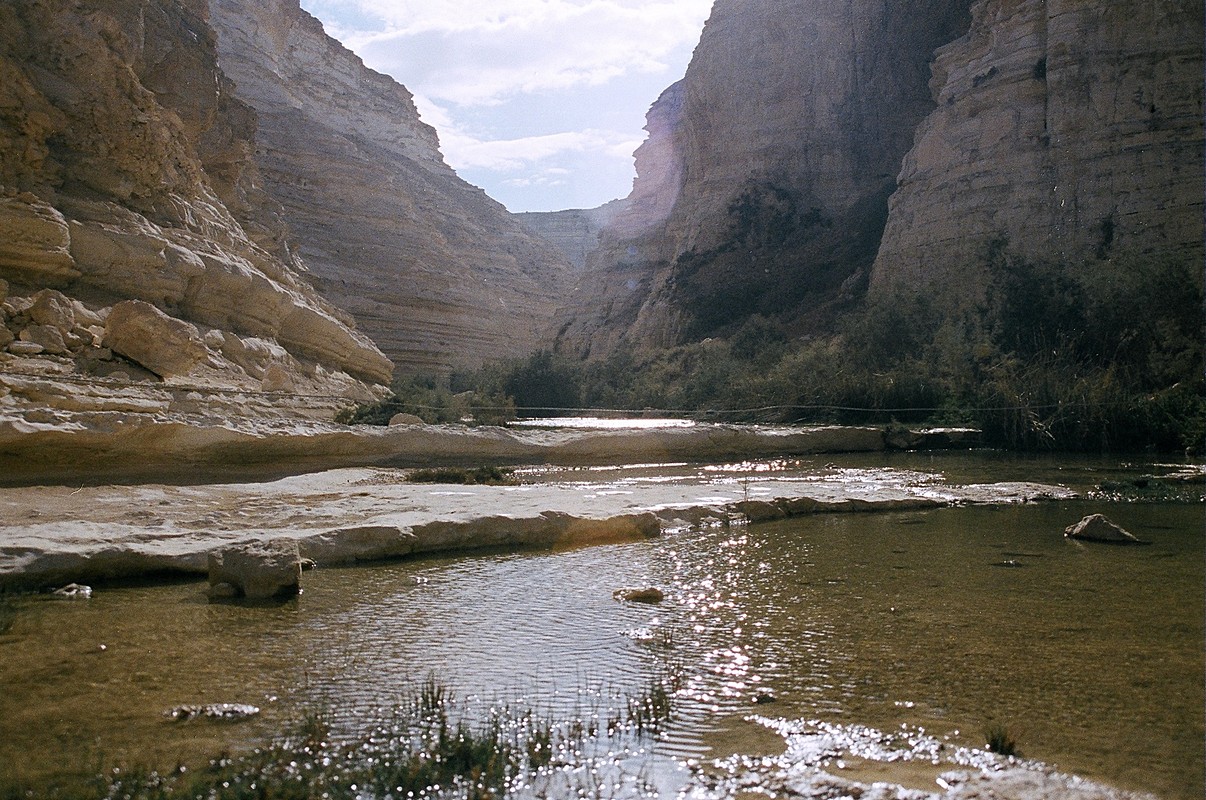 אליאב מיכאי