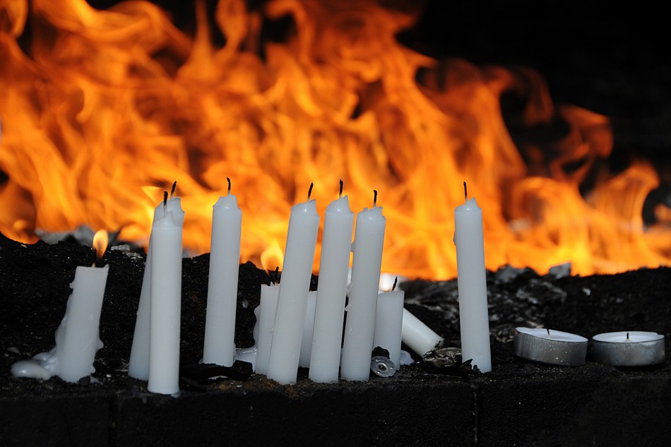 אבי אלמוזנינו