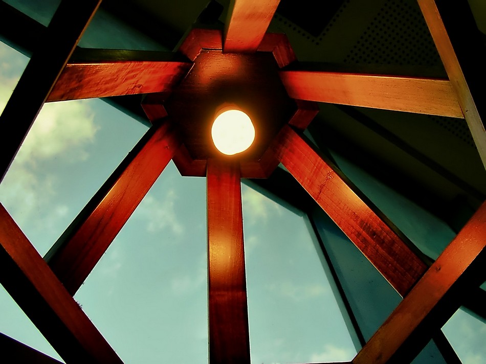 אורלי דורון